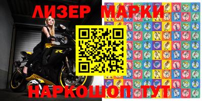 стафф Кингисепп