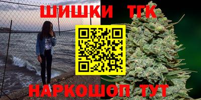 стафф Кингисепп