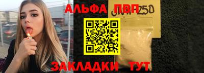стафф Кингисепп