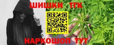 стафф Кингисепп