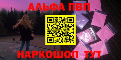 стафф Кингисепп