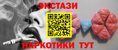 стафф Кингисепп