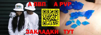 стафф Кингисепп