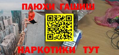 стафф Кингисепп