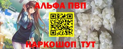 стафф Кингисепп