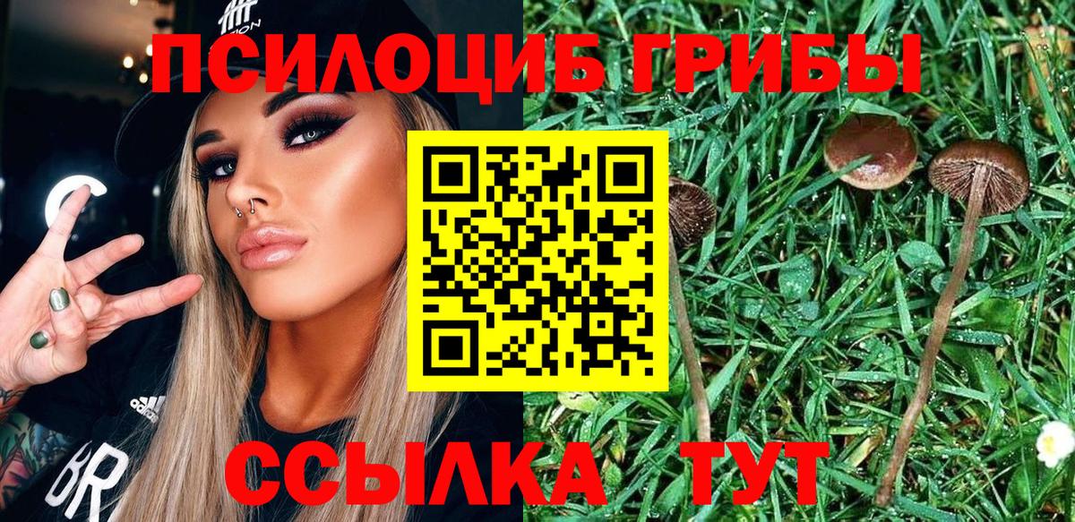 Псилоцибиновые грибы GOLDEN TEACHER Лабытнанги