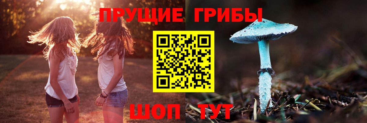 Галлюциногенные грибы Psilocybine cubensis  Вход с VPN  Лабытнанги 